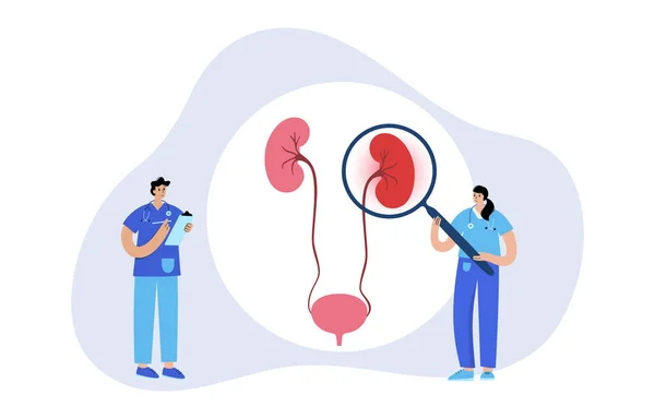 Kidney disease concept — Stock Vector