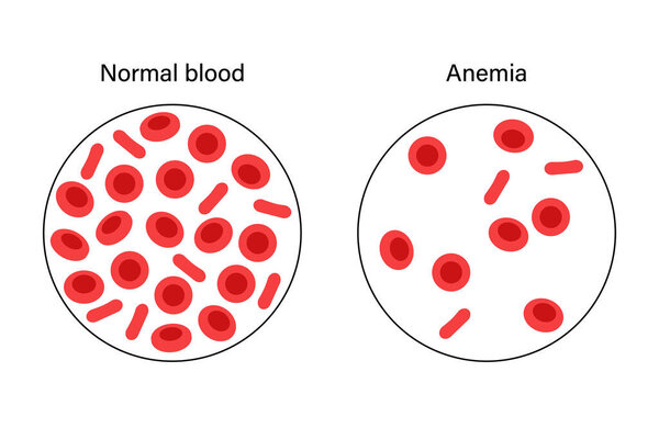Blood structure concept