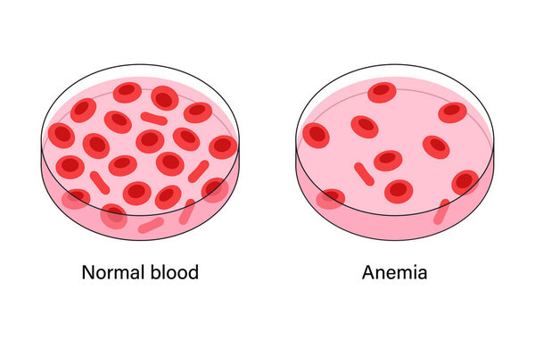Blood structure concept