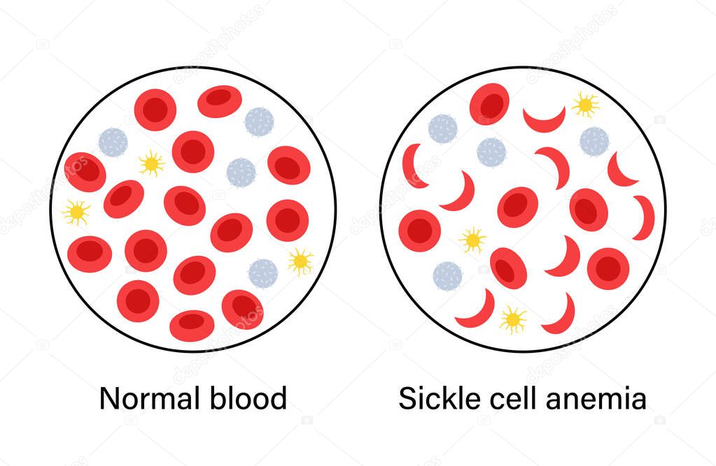 Blood structure concept