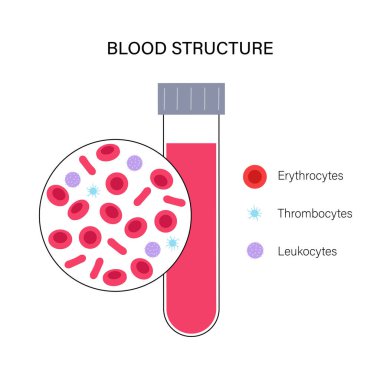 Kan yapısı kavramı