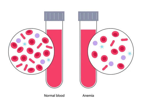 Concetto struttura del sangue — Vettoriale Stock