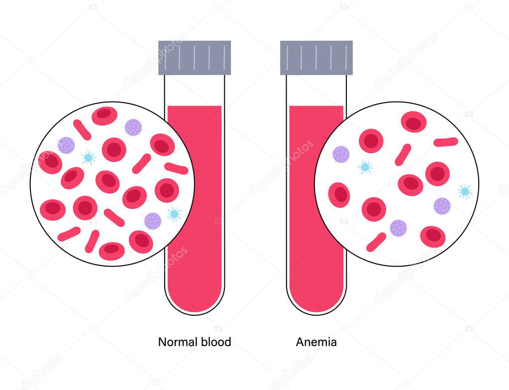 Blood structure concept