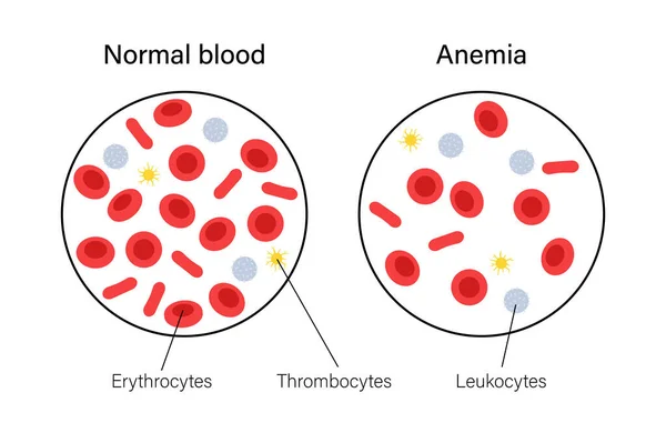 Концепция структуры крови — стоковый вектор