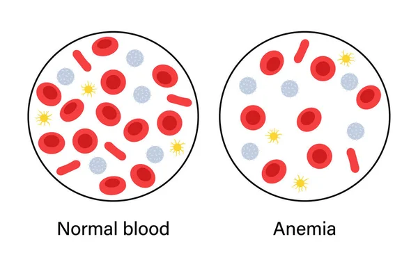 Концепція структури крові — стоковий вектор