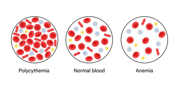 血液结构概念 — 图库矢量图片