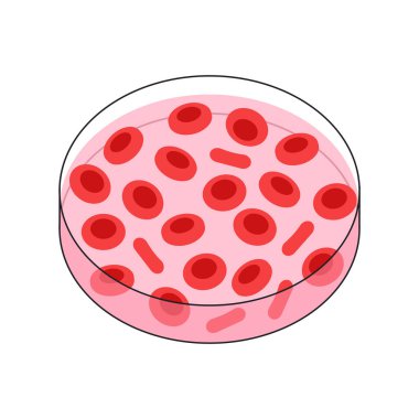 Kan yapısı kavramı