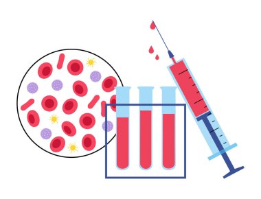 Kan yapısı kavramı