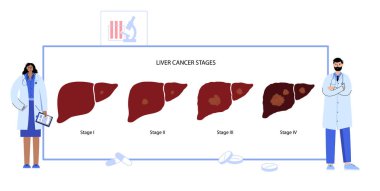 Karaciğer hastalığı kavramı
