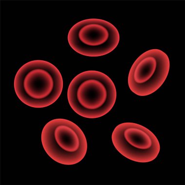 Kan damarlarında eritrositler