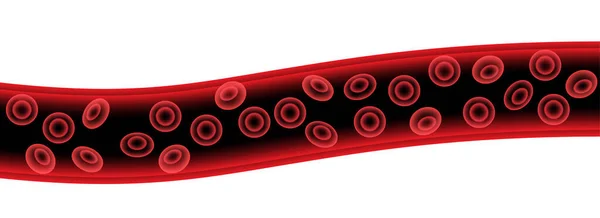 Ερυθροκύτταρα στα αιμοφόρα αγγεία — Διανυσματικό Αρχείο