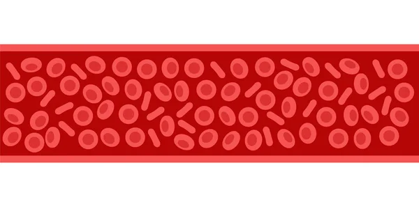 Еритроцити в кровоносних судинах — стоковий вектор