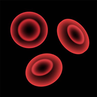 Kan damarlarında eritrositler