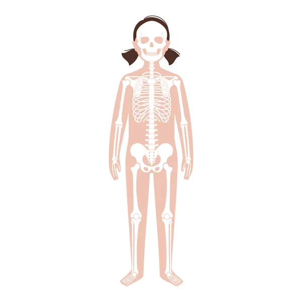 Konzept des menschlichen Skeletts — Stockvektor