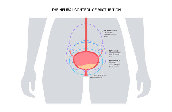Нейронное управление микропроцессором