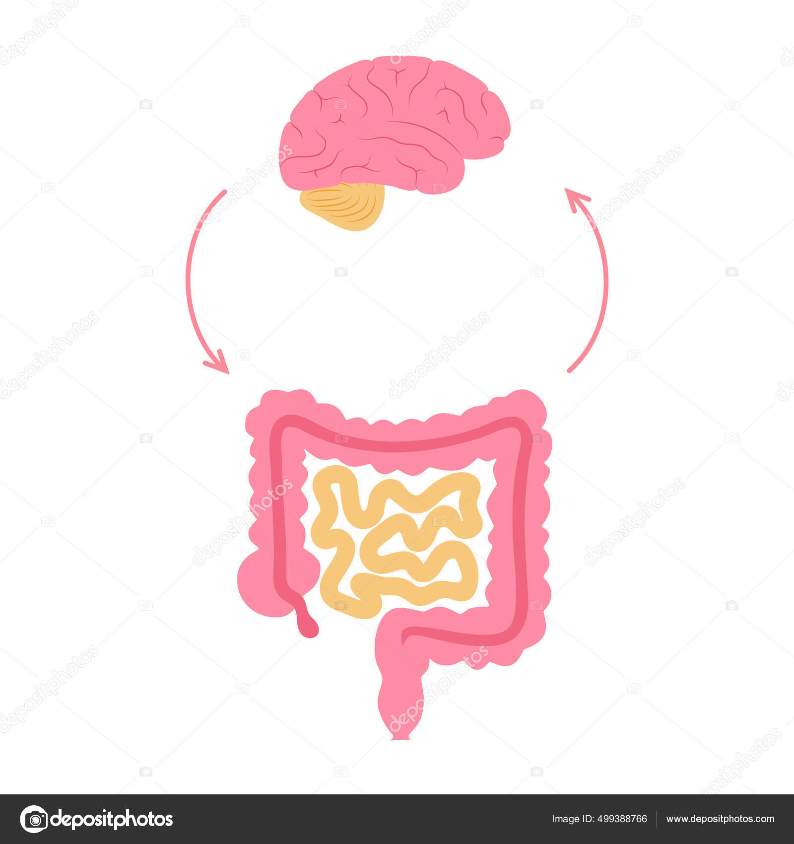 Gut brain connection Stock Vector by ©Pikovit 499388766