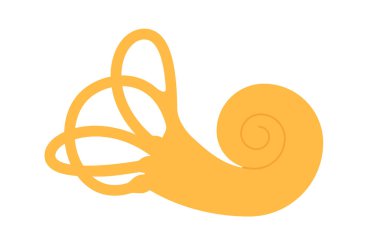 Vestibüler aparat anatomisi