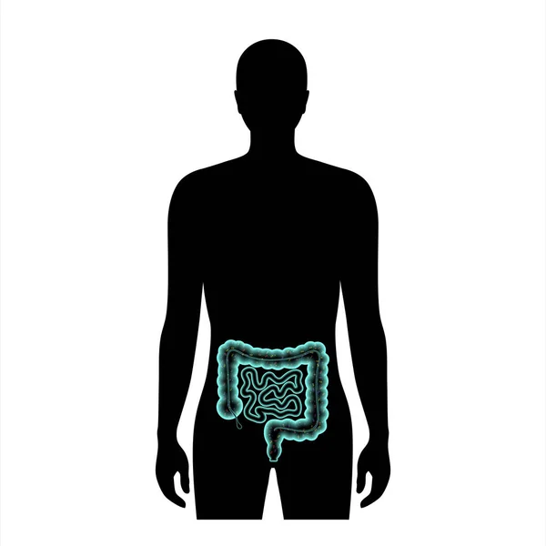 Концепция микробиома кишечника — стоковый вектор