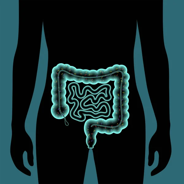 Concepto de microbioma intestinal — Archivo Imágenes Vectoriales