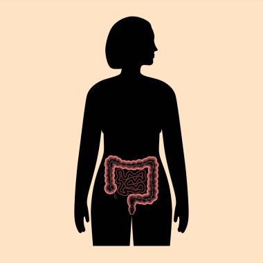 Bağırsak mikrobiyomu kavramı