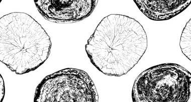 Ağaç gövdesi kesiti, ahşap halkalar ve doğal tahıllar. Dairesel kesik çizimi, büyüme radyal çizgileri ve organik doku. Kırsal tasarım için arkaplan deseni, marangozluk materyal vektörü.