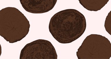 Ağaç gövdesi kesiti, ahşap halkalar ve doğal tahıllar. Dairesel kesik çizimi, büyüme radyal çizgileri ve organik doku. Kırsal tasarım için arkaplan deseni, marangozluk materyal vektörü.