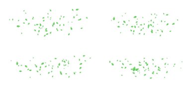 Temiz beyaz arka planda yeşil yapraklar. Taze botanik şekiller, doğal tonlar, yumuşak organik detaylar, parlak havadar estetik. Eko tasarımı için ideal, bitkisel ürünler, doğa markalaşma vektörü illüstrasyonu