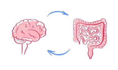 Bağırsak beyin bağlantısı, disbiyoz ve mikrobiyom. Normal ve anormal mikrobiyotası. Sinir sistemi, bağırsak anatomisi. Beyinden sindirim sistemine giden sinyaller. Kolon ve serebrum vektör çizimi