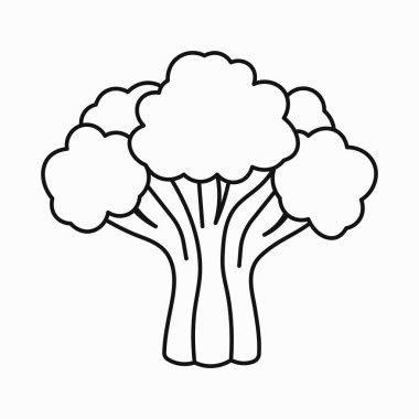 Taze brokoli çiçeklerinin basit çizimleri ve sağlıklı besin malzemelerini saptamak.