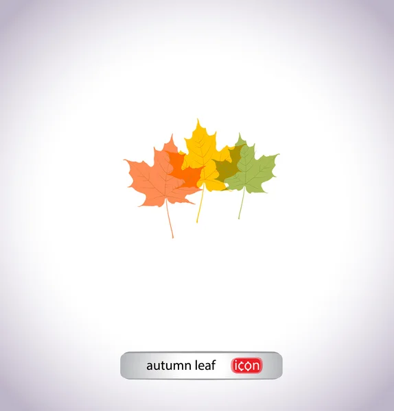 Színes őszi levelek ikon — Stock Vector