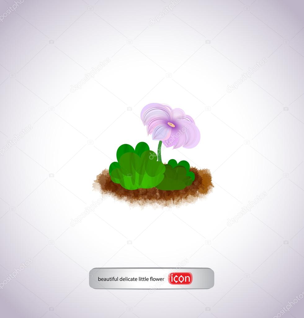 Colorful flower logo. icon, symbol on white background
