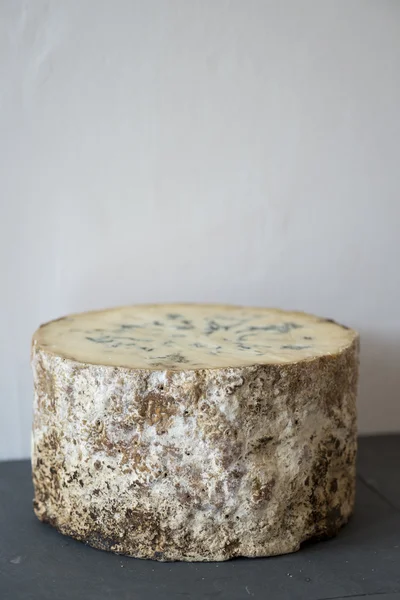 Stitchelton fromage rond — Photo