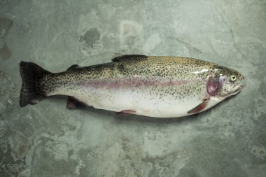 Yeşil bir arka plan üzerinde bütün balık