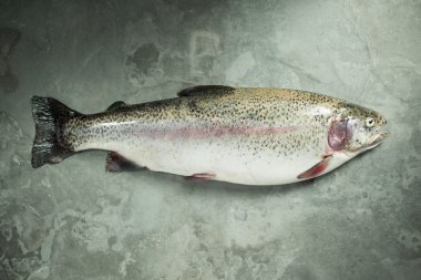 Benekli arduvaz arka plan üzerinde bütün balık