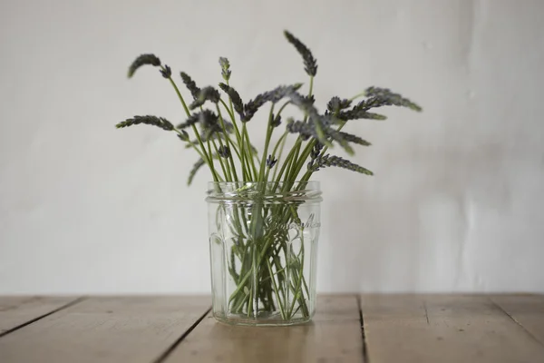 Tiges de plante ou d'herbe dans un bocal en verre transparent — Photo