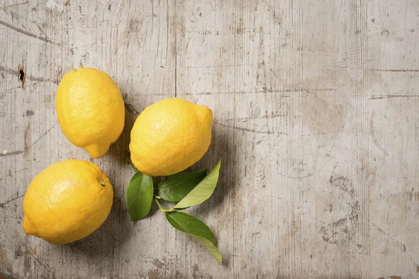 Три лимона и листья на дереве — стоковое фото