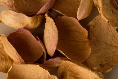 kurutulmuş gül yaprakları