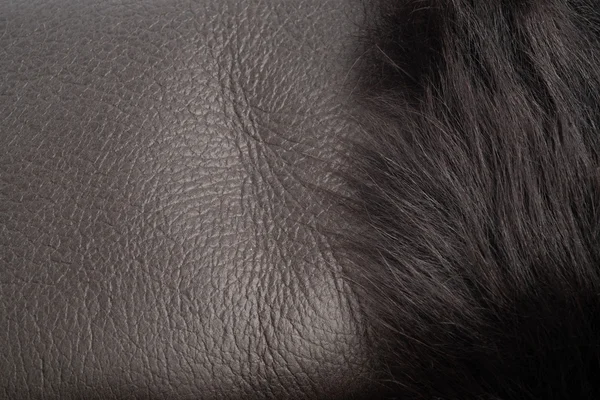 Pele cinzenta sobre couro cinza — Fotografia de Stock