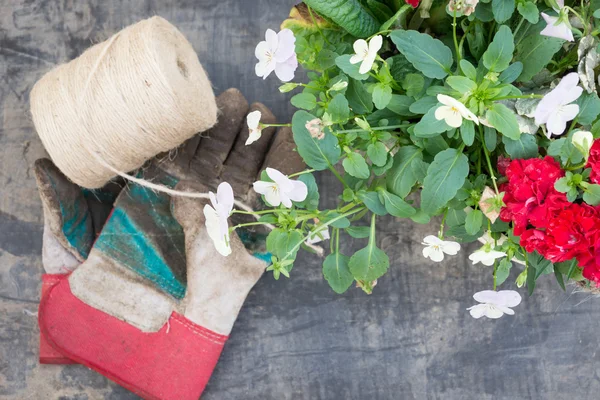 Gants de jardinage bruns à ficelle et boueux avec culottes — Photo