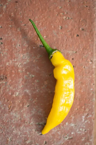 Gelbe Chilischote vor rotem Backsteinhintergrund — Stockfoto