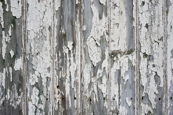 Panneau en bois avec peinture blanche écaillée — Photo