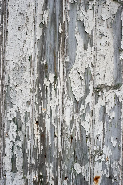 Invecchiamento superficie di legno con vernice bianca scheggiata — Foto Stock