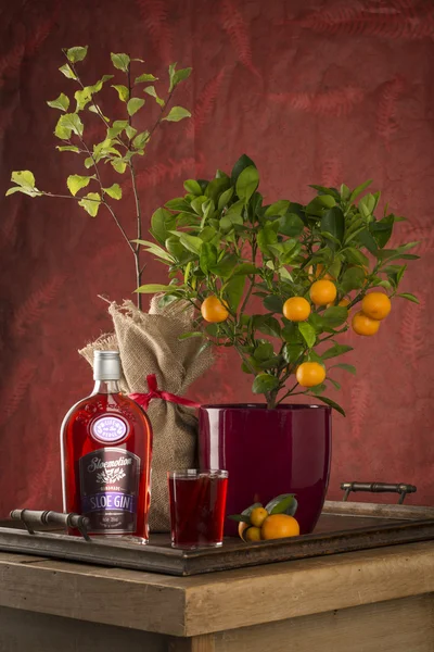 Sloe Gin, Sloe Bush, Árbol de Calamondin en bandeja de madera — Foto de Stock