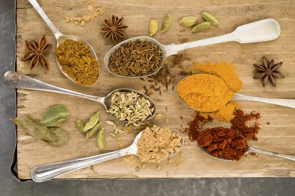 Indian Cooking spices on Spoons — Stock Photo, Image