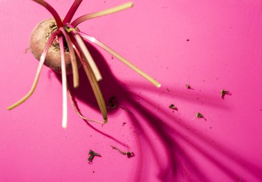 Pancar soyut natürmort