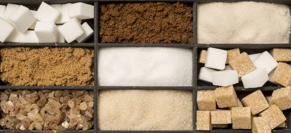 Tray of assorted sugar types — Stock Photo, Image