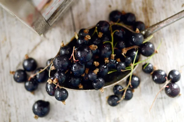 Blackcurrants In a Large Spoon on a wood table — Stock Photo, Image