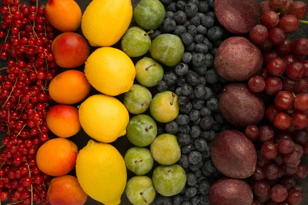 Kleurrijke Fruit selectie — Stockfoto