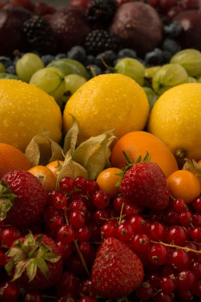 Kleurrijk Fruit Display — Stockfoto