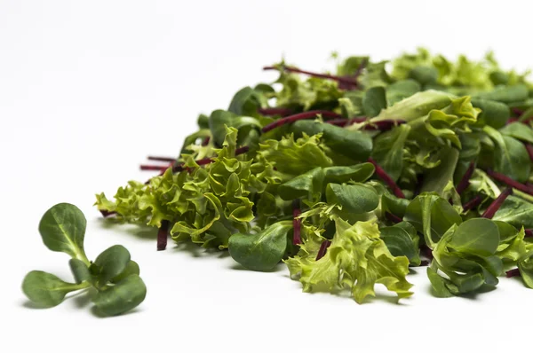 Mixed green salad leaves — Stock Photo, Image